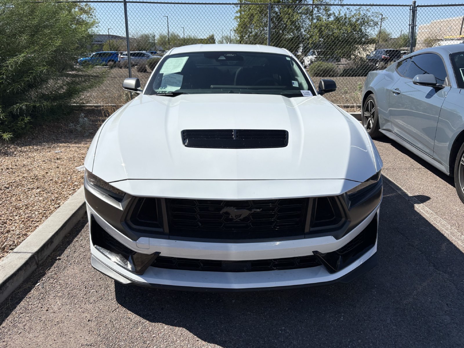 Used 2025 Ford Mustang Dark Horse RWD image 2