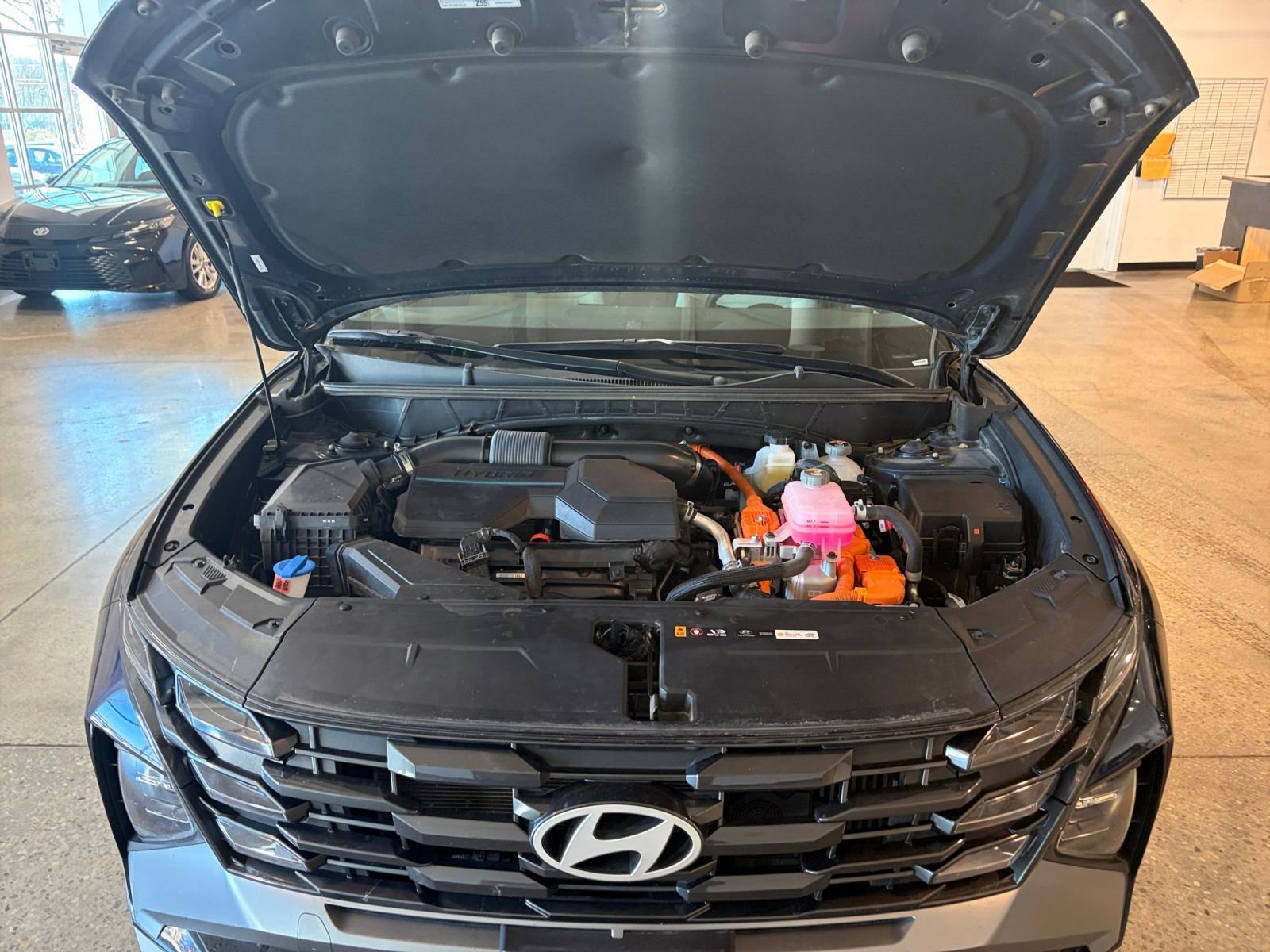 Used 2025 Hyundai Tucson Blue image 32