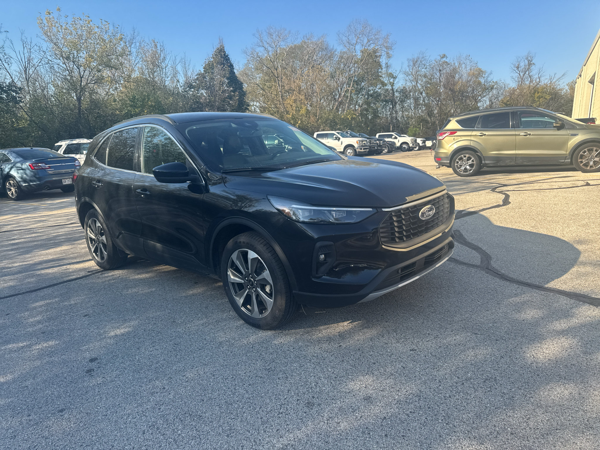 Used 2025 Ford Escape Platinum AWD/4WD image 3