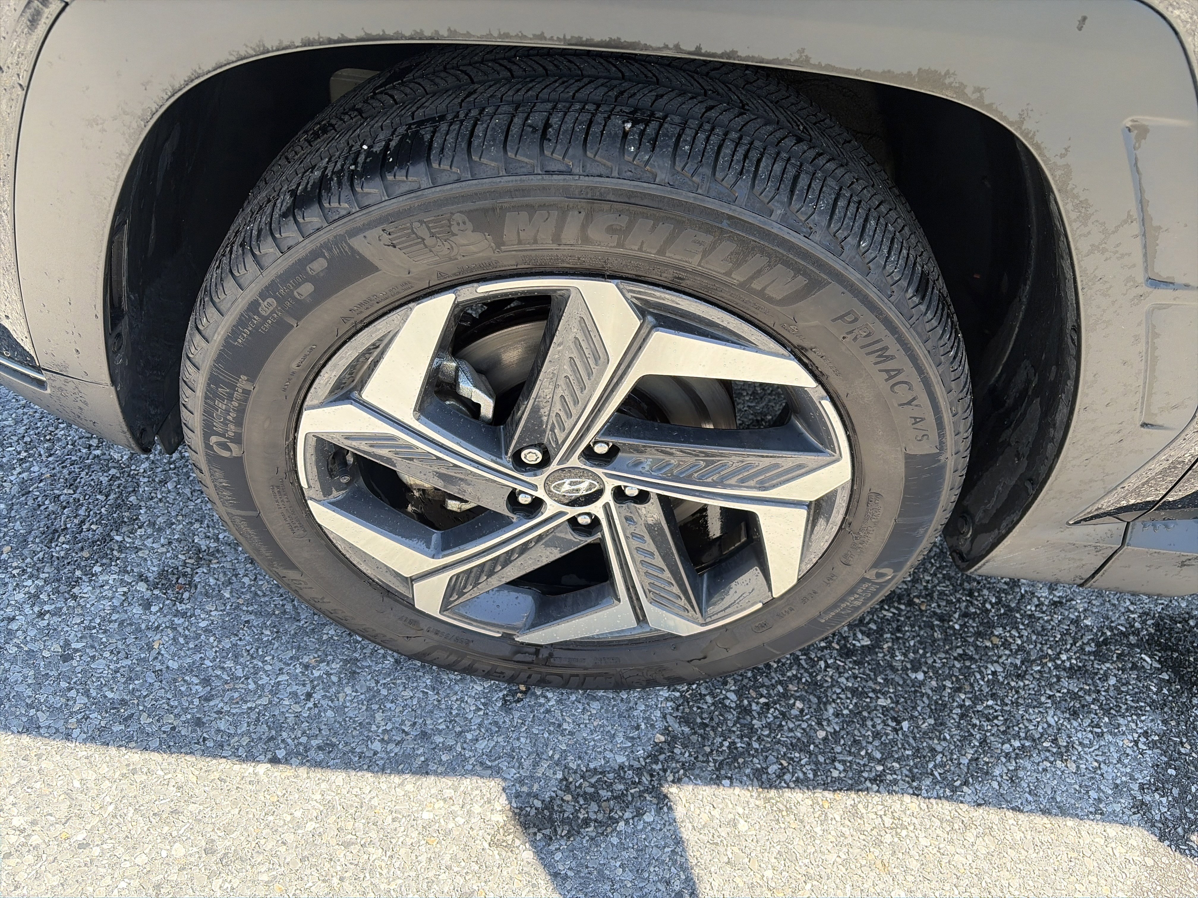 Used 2024 Hyundai Tucson Limited AWD/4WD image 11