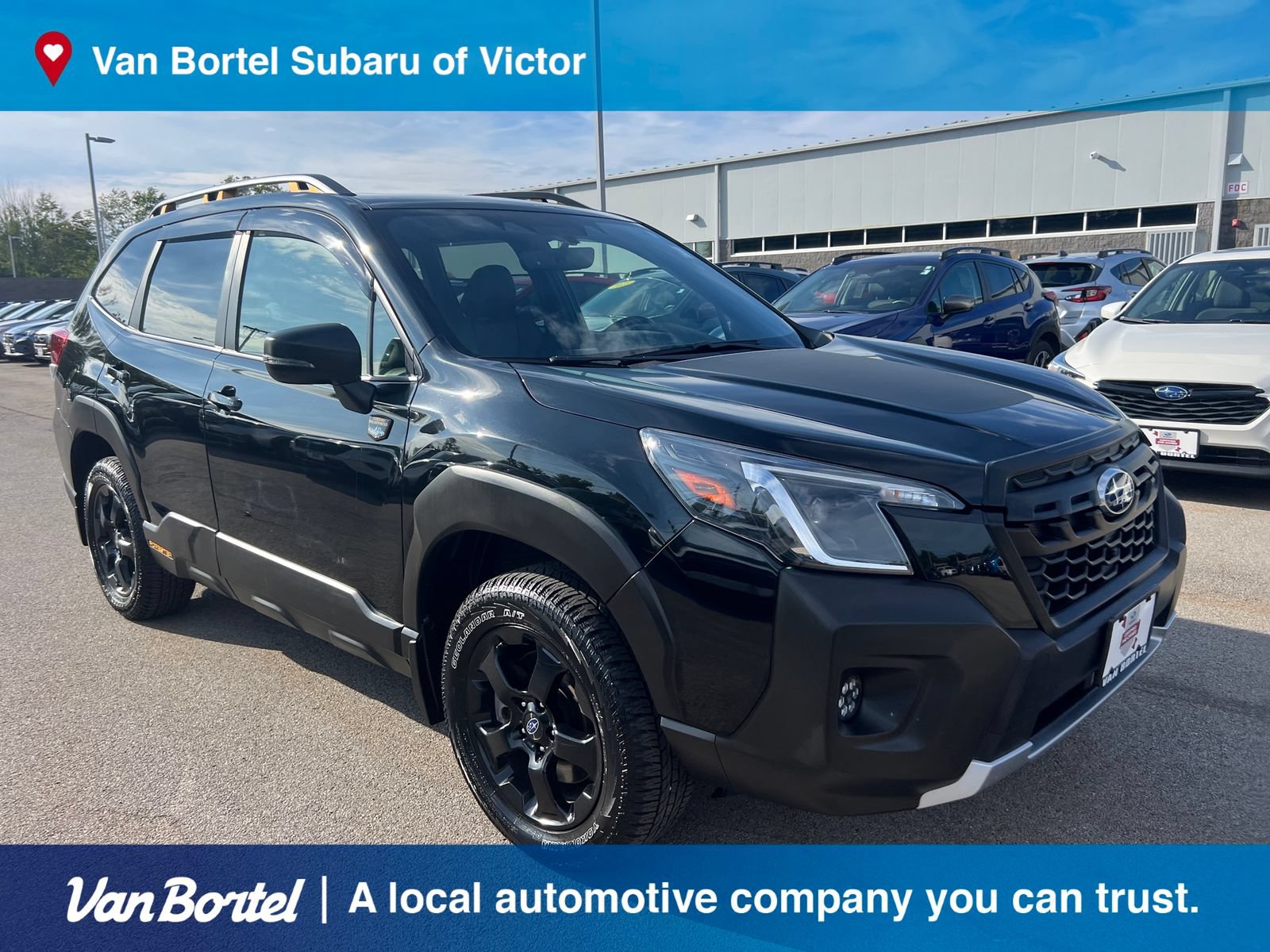 Certified 2024 Subaru Forester Wilderness AWD/4WD image 8