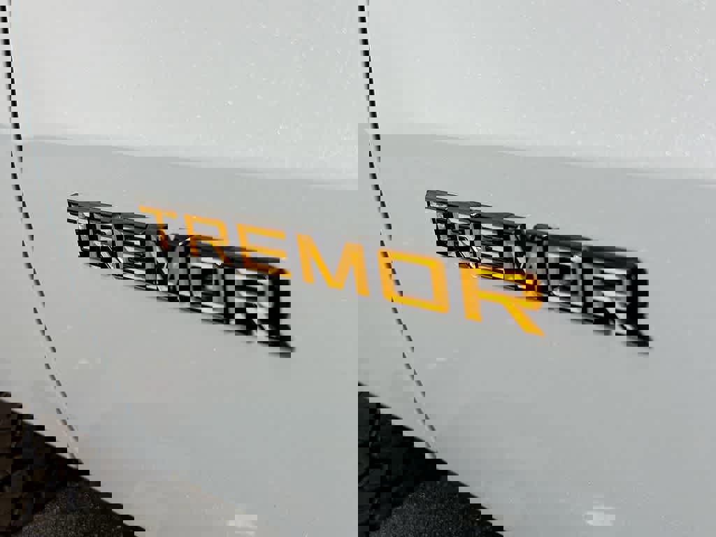 New 2026 Ford Expedition Tremor image 7