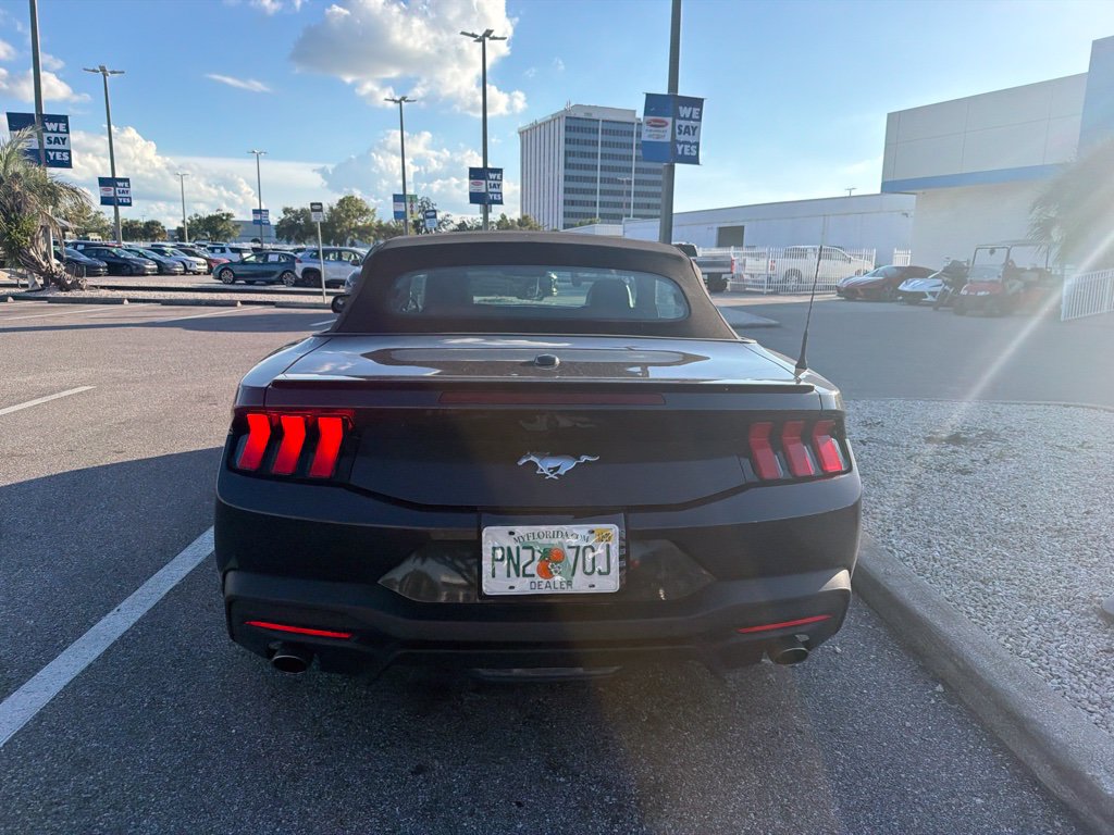 Used 2024 Ford Mustang Premium RWD image 6