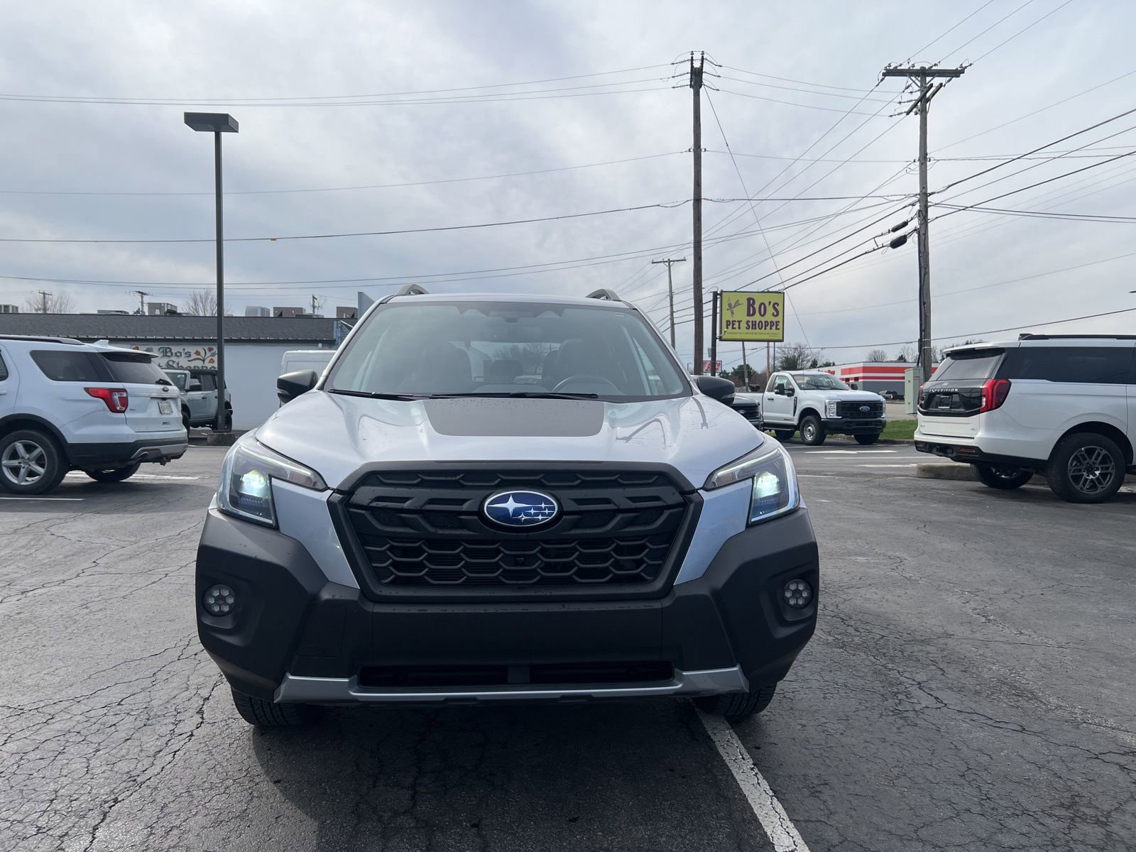 Used 2024 Subaru Forester Wilderness w/ Wilderness Package AWD/4WD image 3
