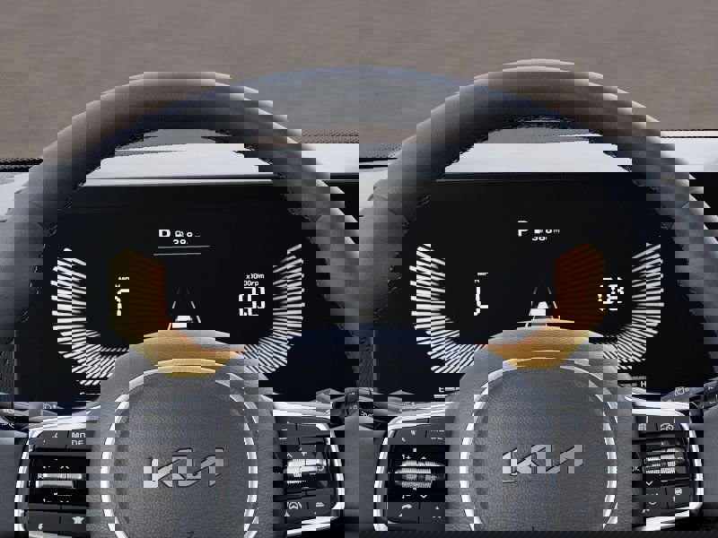 New 2025 Kia Carnival image 21