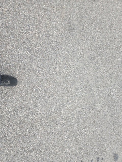 Used 2021 Chevrolet Silverado 1500 W/T w/ WT Fleet Convenience Package image 14