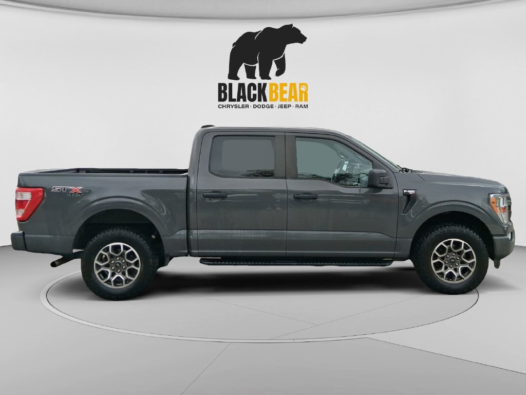 Used 2021 Ford F150 XL w/ STX Appearance Package AWD/4WD image 2