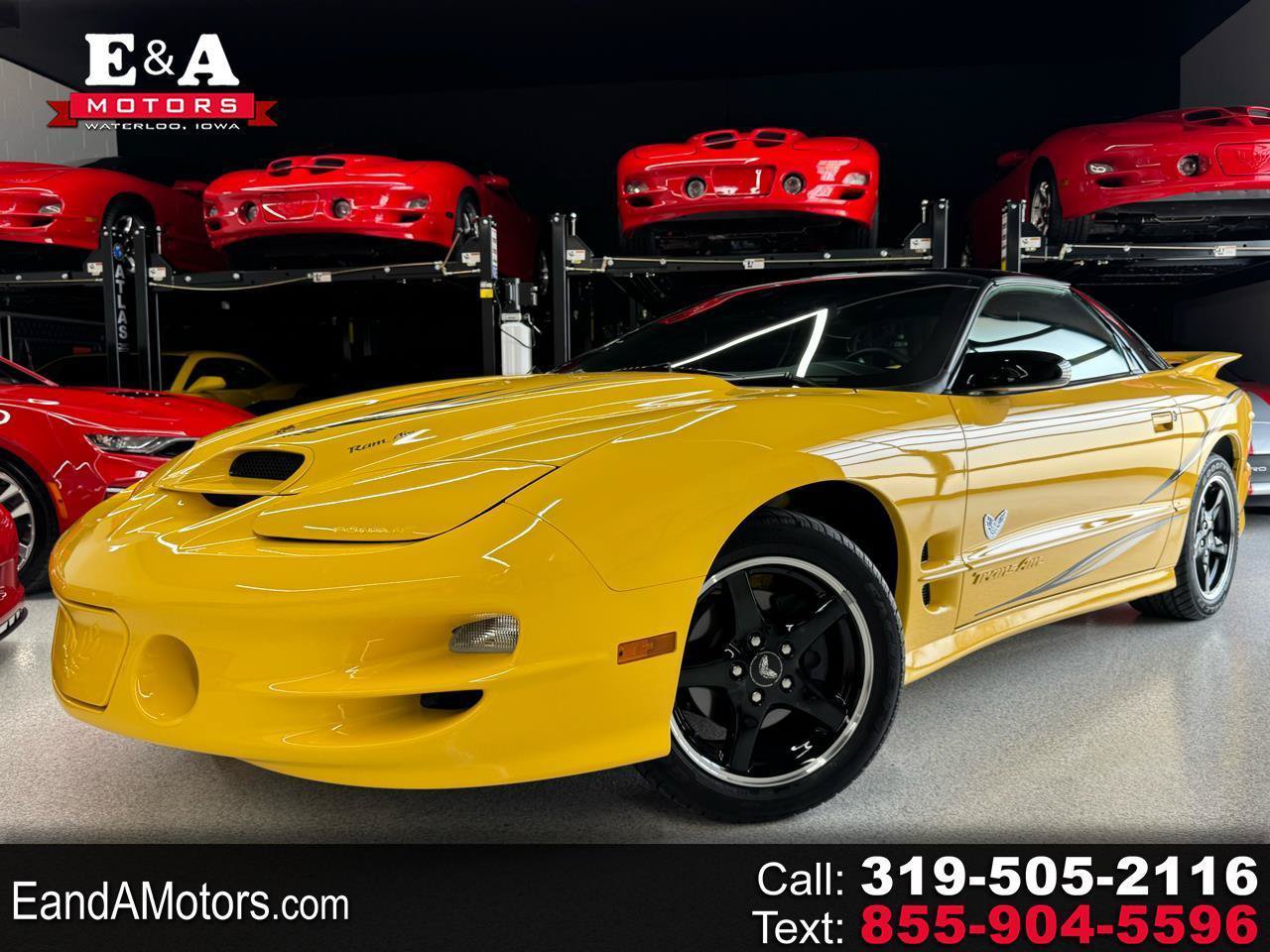 Used 2002 Pontiac Firebird Trans Am RWD image 1