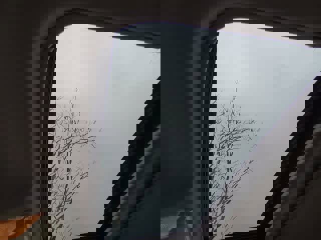 Used 2020 Toyota RAV4 XLE image 16