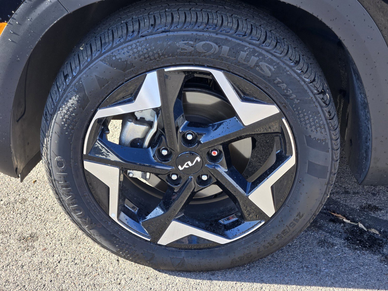 Certified 2025 Kia Seltos EX w/ EX Sunroof Package image 10