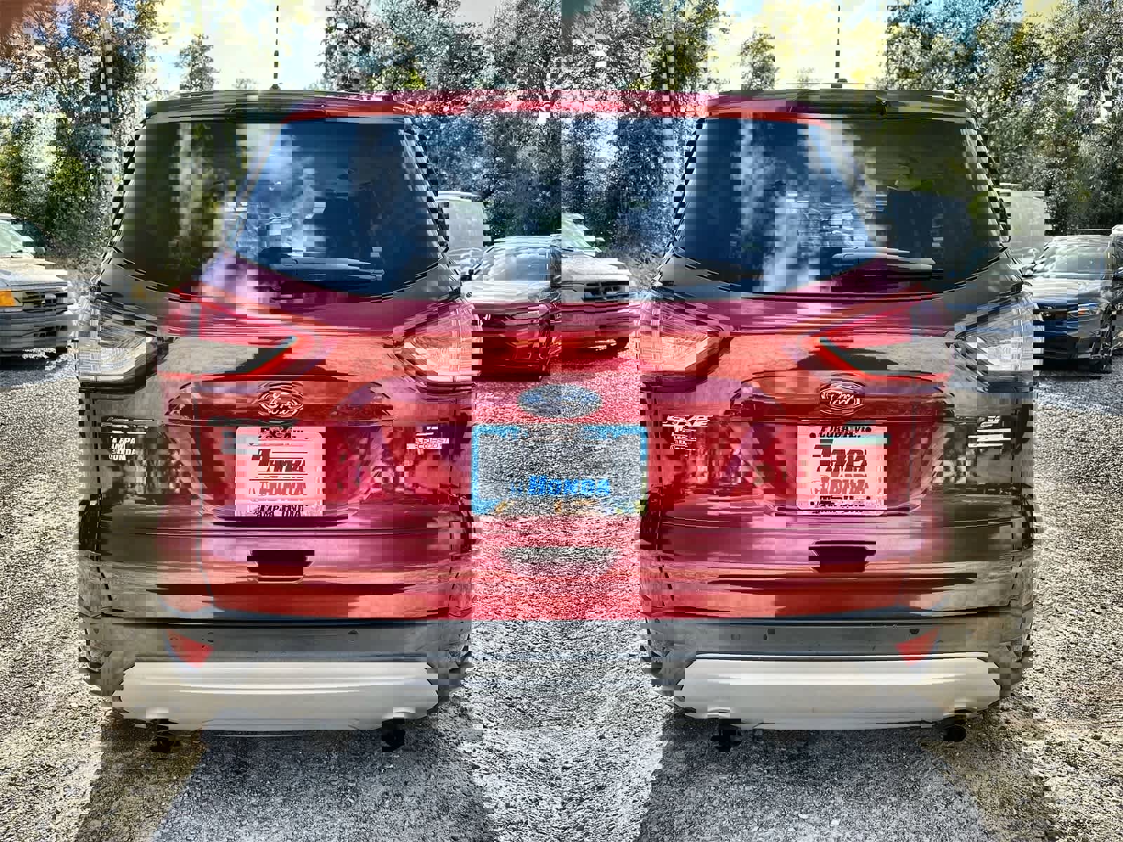 Used 2014 Ford Escape SE w/ Equipment Group 201A image 5