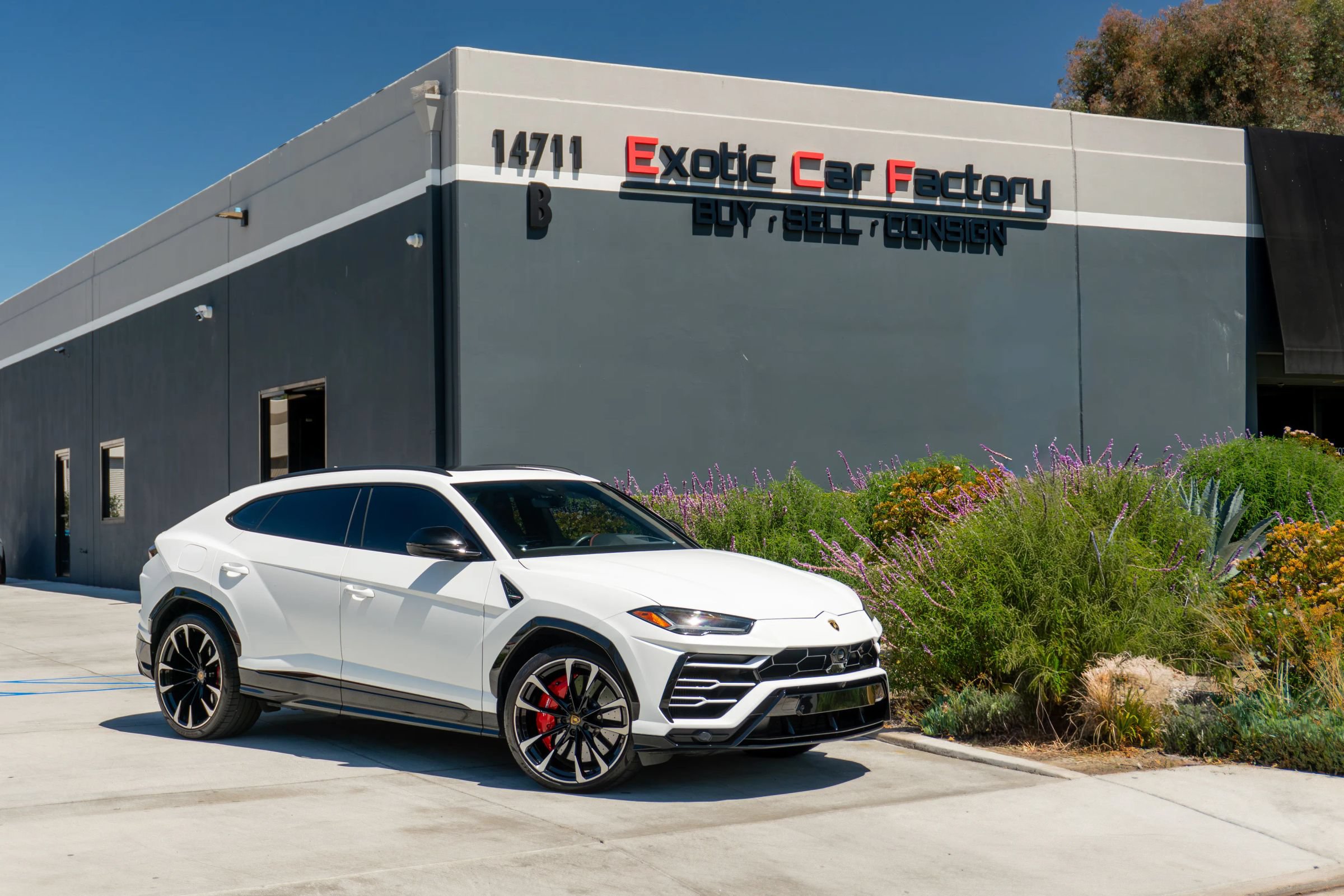 Used 2021 Lamborghini Urus AWD/4WD image 1