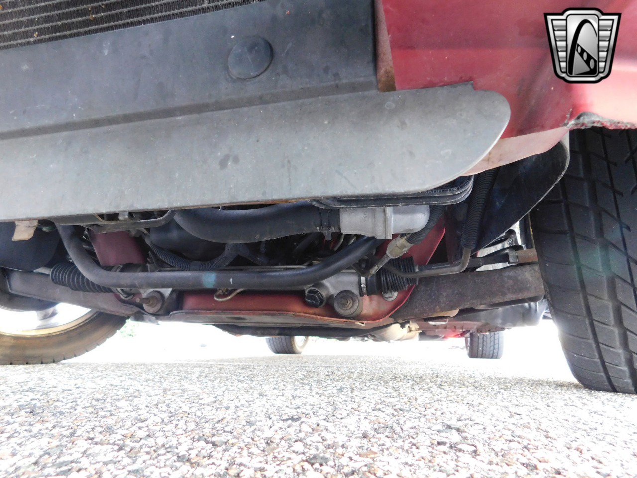 Used 2001 Ford Mustang Cobra image 20