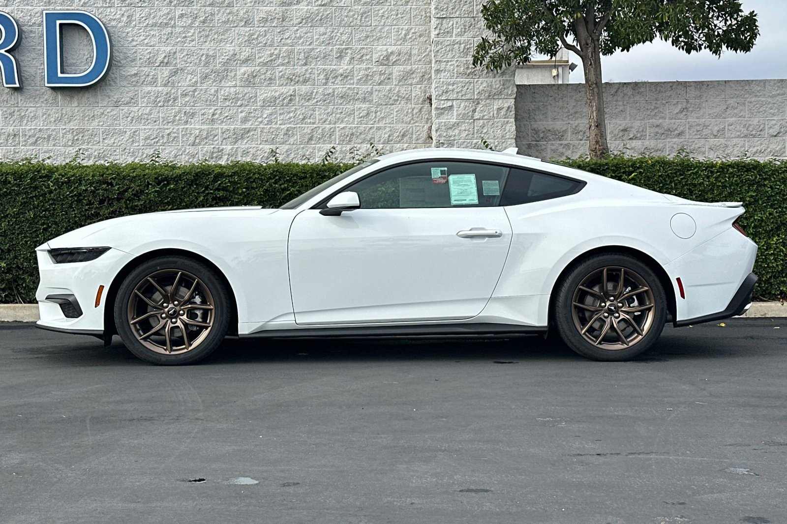 New 2026 Ford Mustang Coupe w/ Bronze Appearance Package image 7