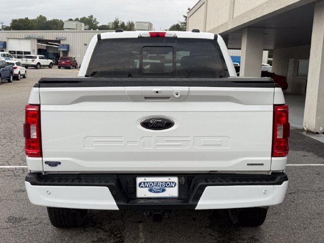 Used 2023 Ford F150 XLT w/ Equipment Group 302A High AWD/4WD image 6