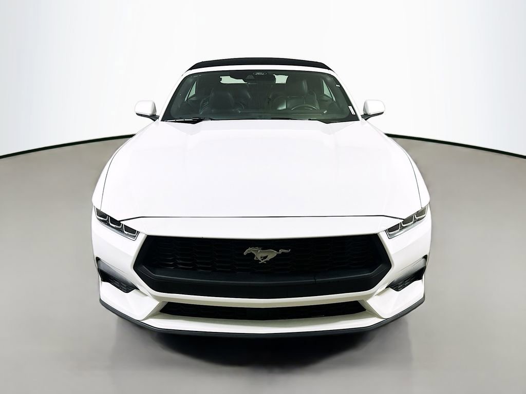 Used 2024 Ford Mustang Premium image 2