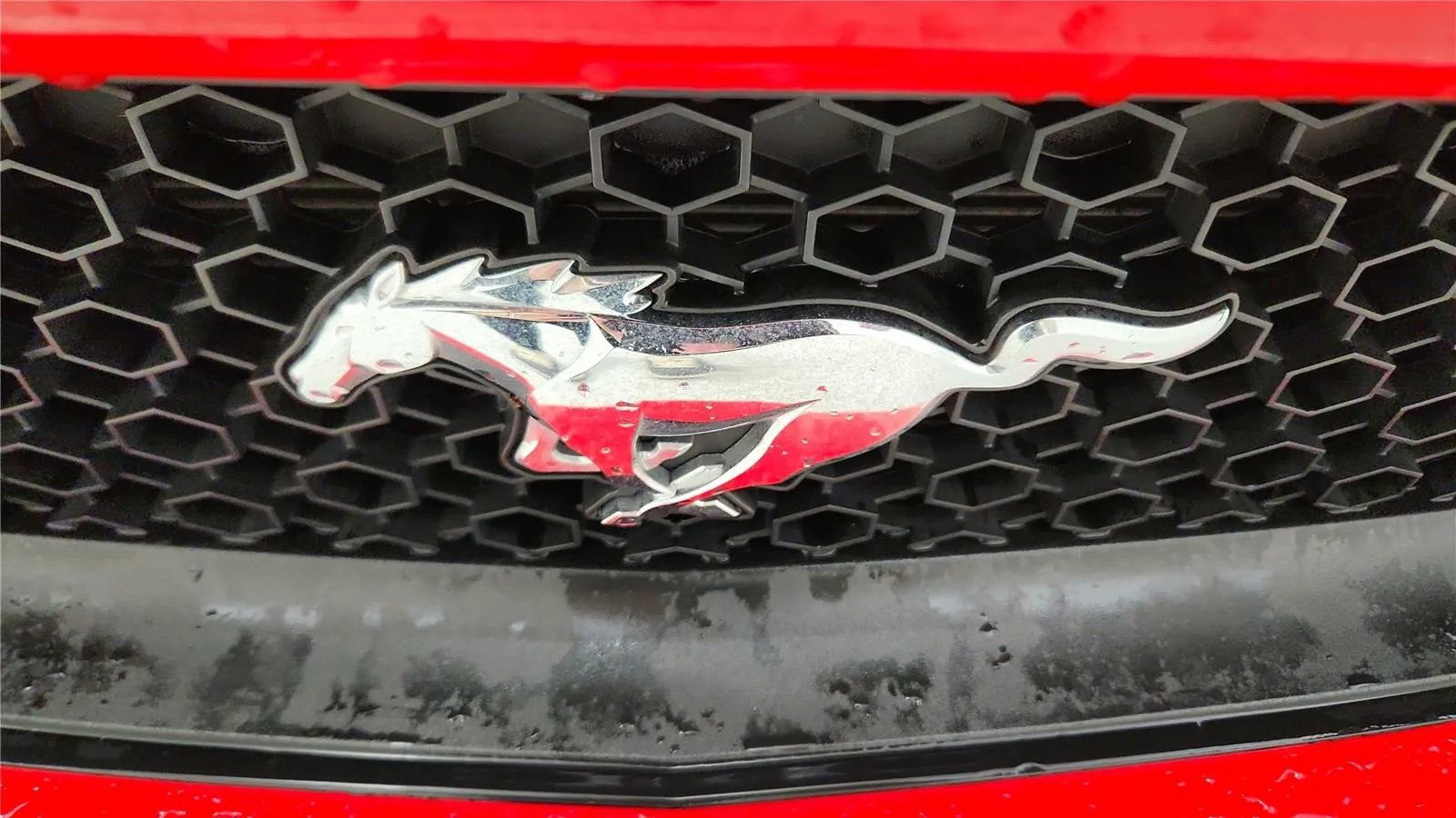 Used 2016 Ford Mustang GT Premium image 17