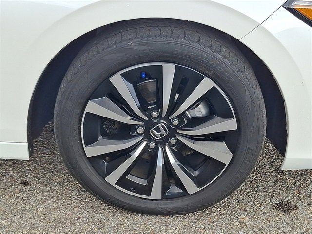 Used 2024 Honda Civic EX-L image 8