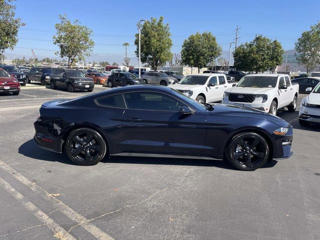Used 2021 Ford Mustang EcoBoost w/ Equipment Group 101A image 4