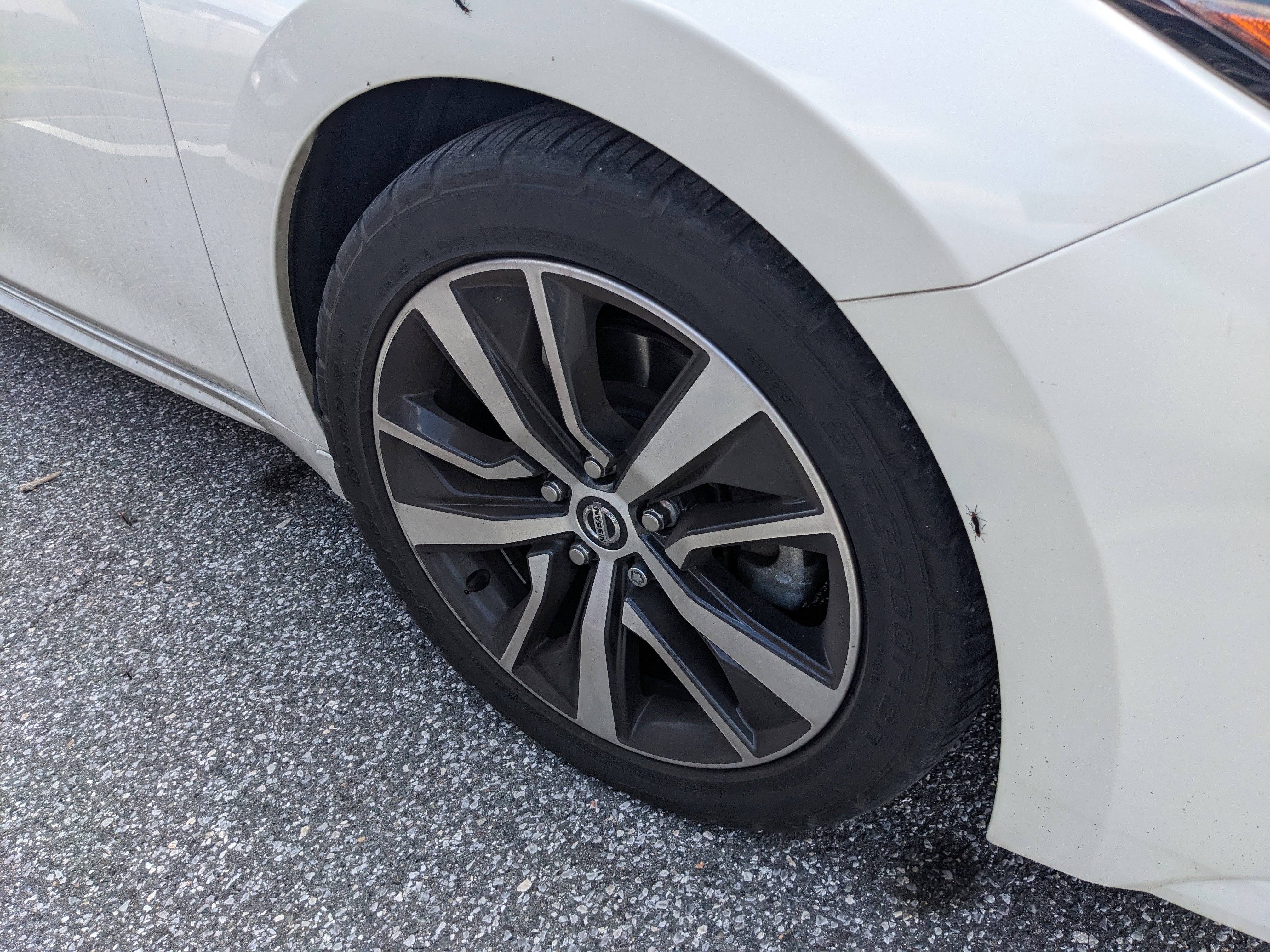 Used 2020 Nissan Maxima 3.5 S w/ Floor Mat Group FWD image 17