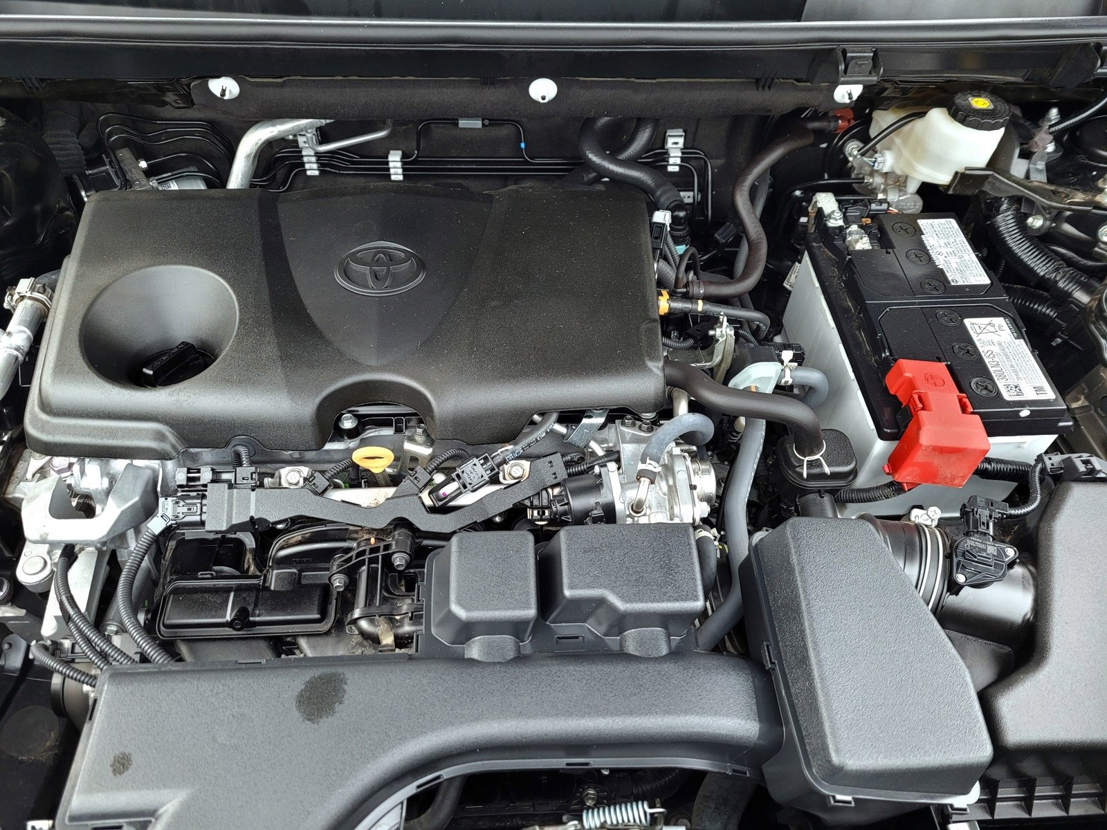 Certified 2024 Toyota RAV4 LE image 23