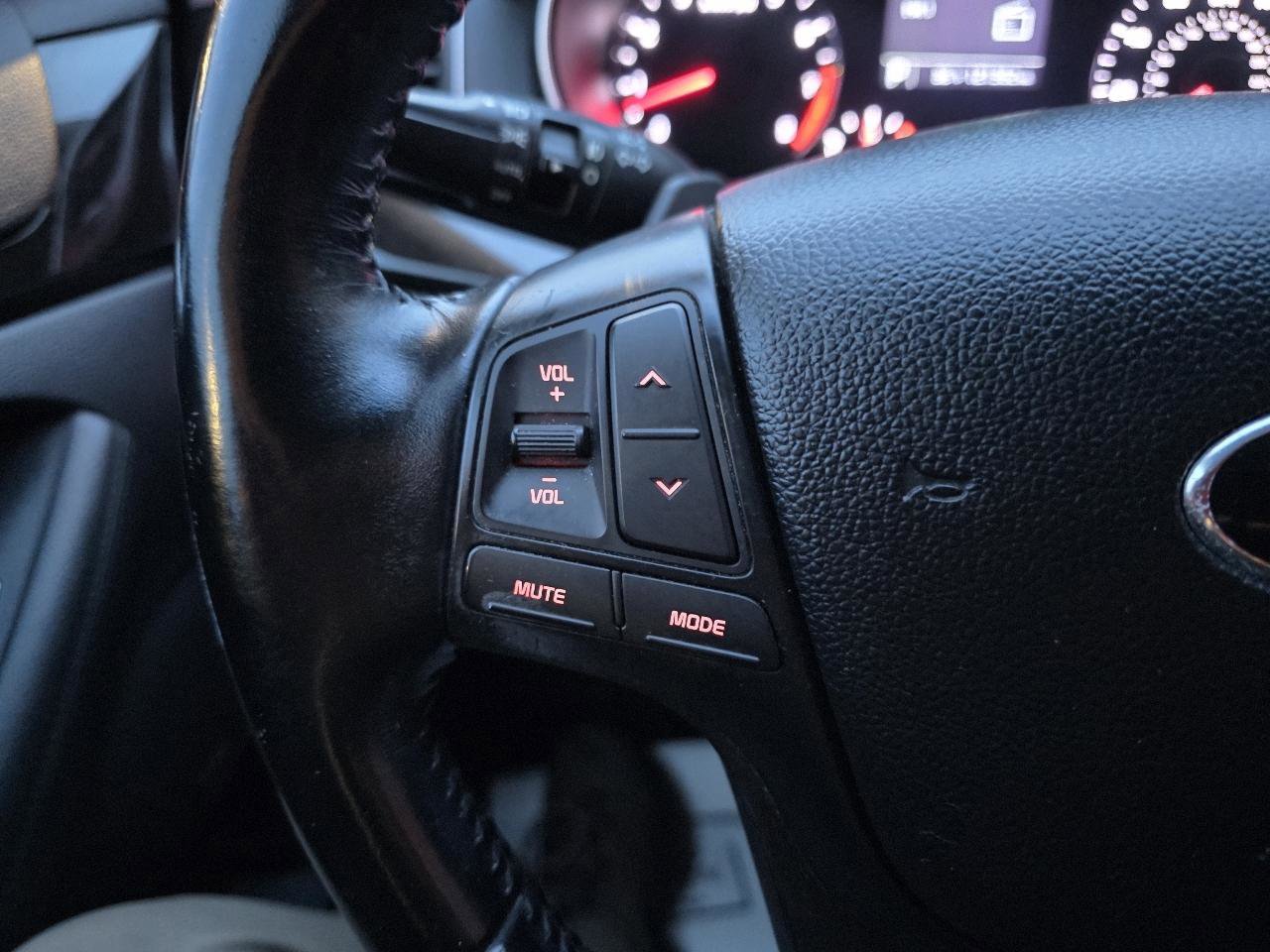 Used 2014 Kia Cadenza Premium image 27