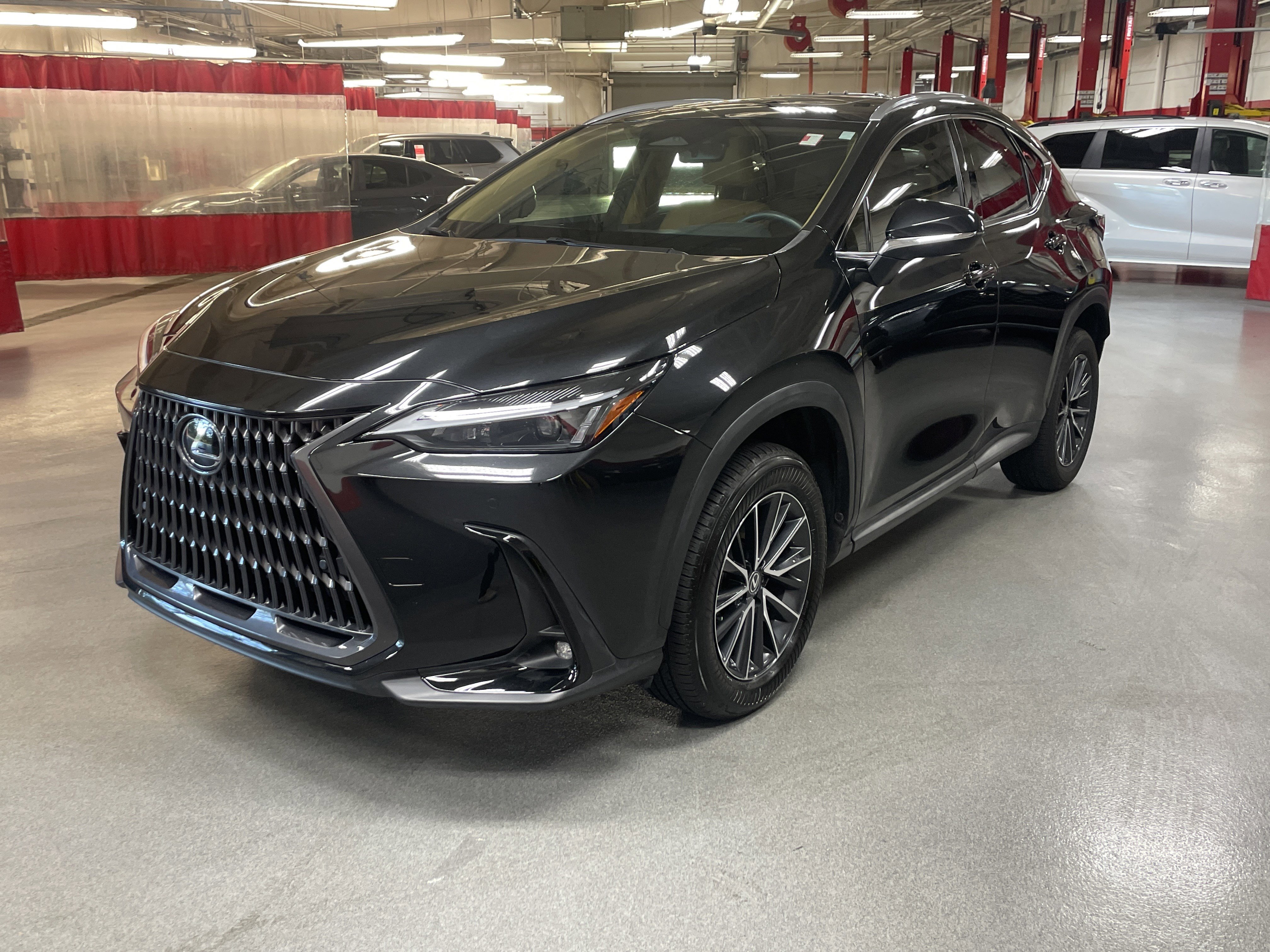 Used 2024 Lexus NX 250 FWD image 6