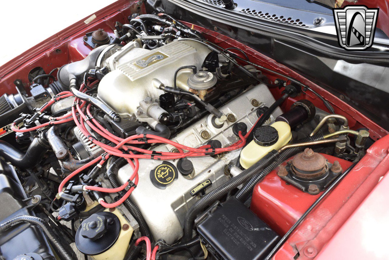 Used 1998 Ford Mustang Cobra image 21