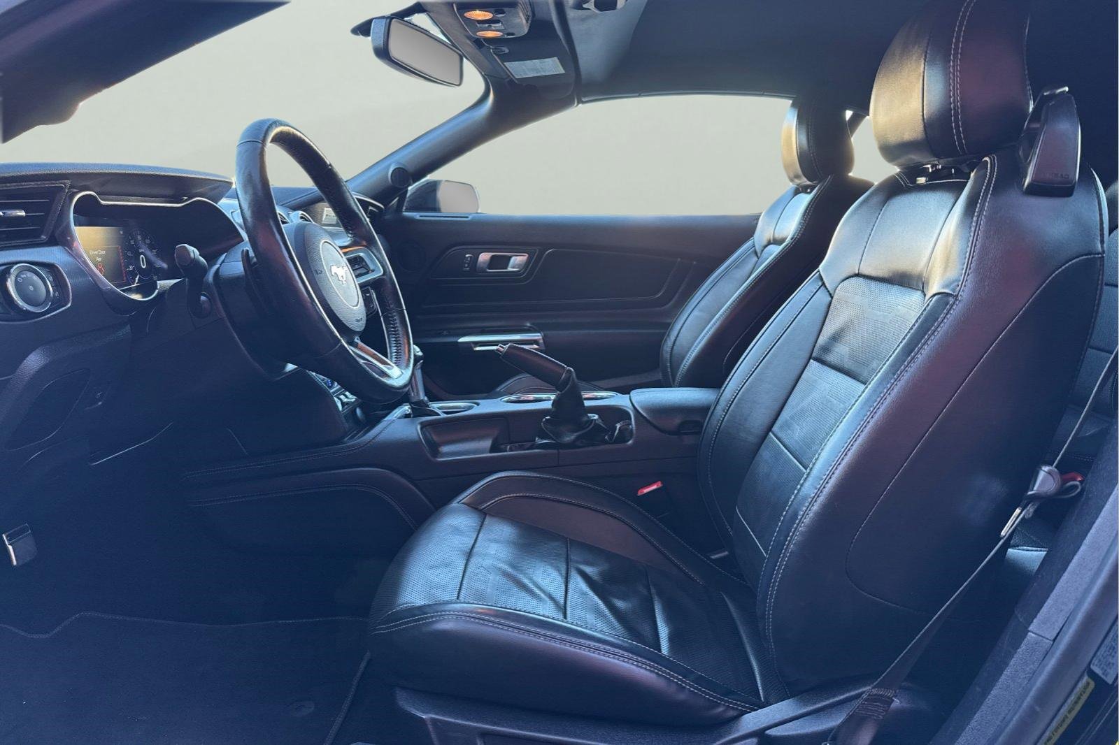 Used 2019 Ford Mustang GT Premium w/ Equipment Group 401A image 14