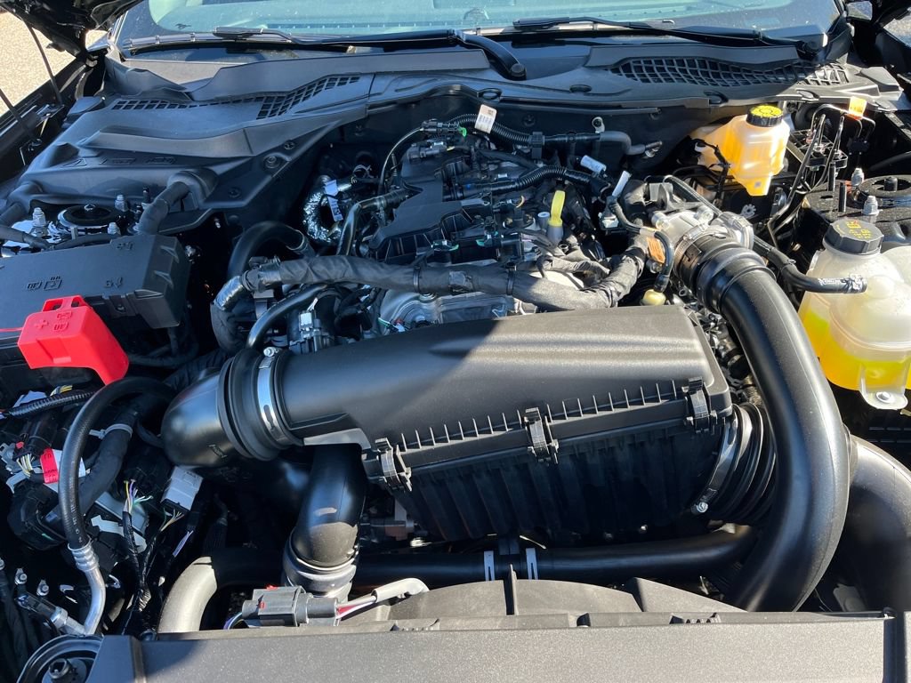New 2025 Ford Mustang Premium RWD image 3