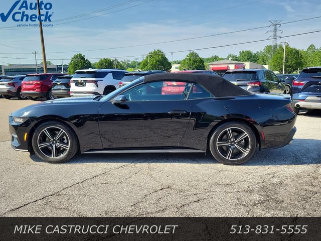 Used 2025 Ford Mustang Premium RWD image 2