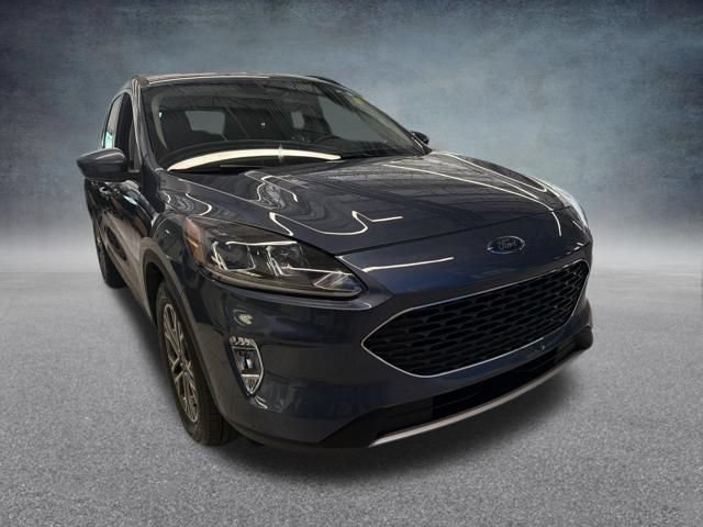 Used 2020 Ford Escape SEL FWD image 4