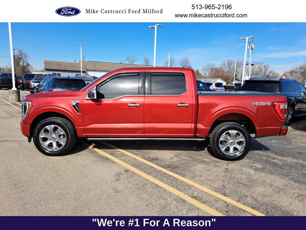 Used 2023 Ford F150 Platinum w/ Equipment Group 701A High image 2