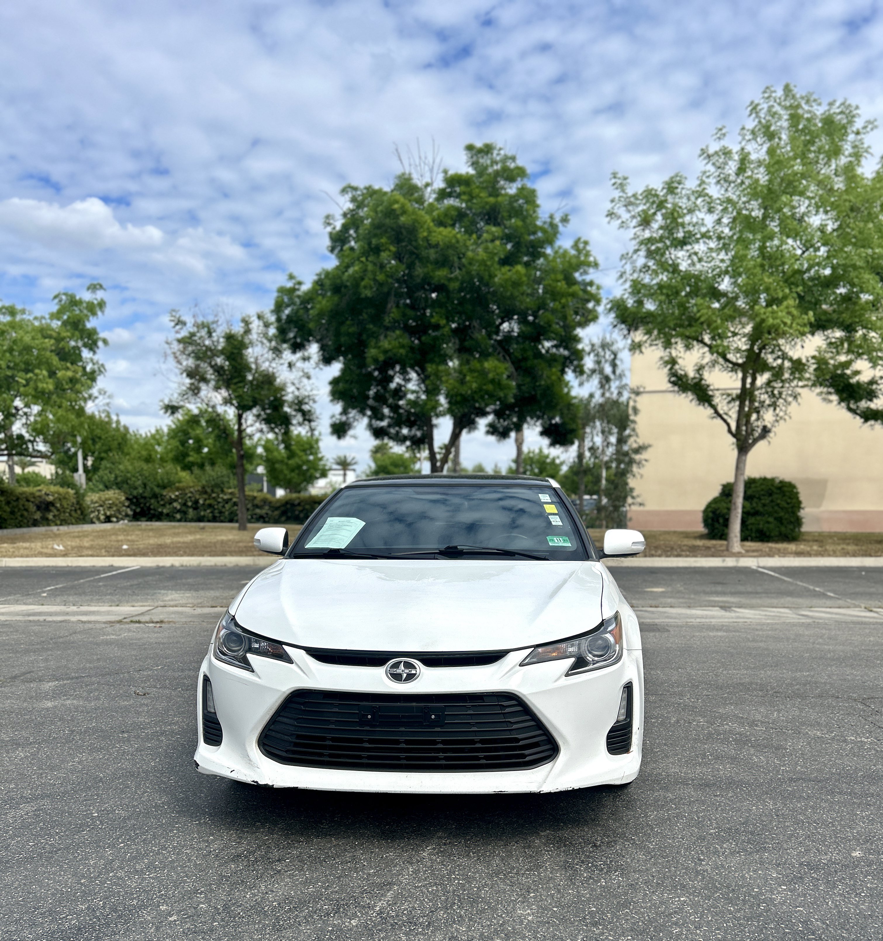 Used 2014 Scion tC Monogram Series FWD image 3