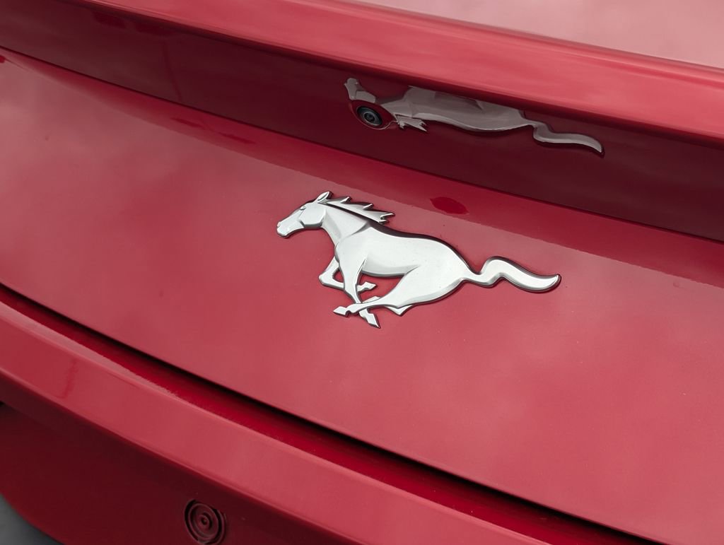Used 2024 Ford Mustang EcoBoost image 24