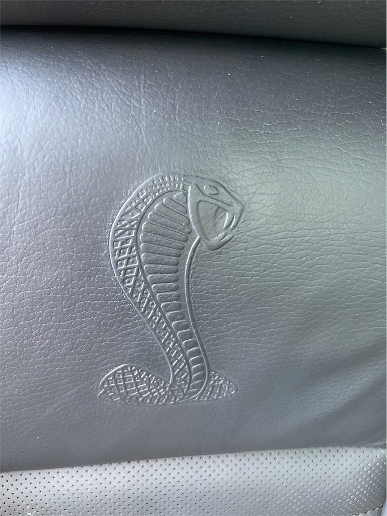 Used 2009 Ford Mustang Shelby GT500 image 14