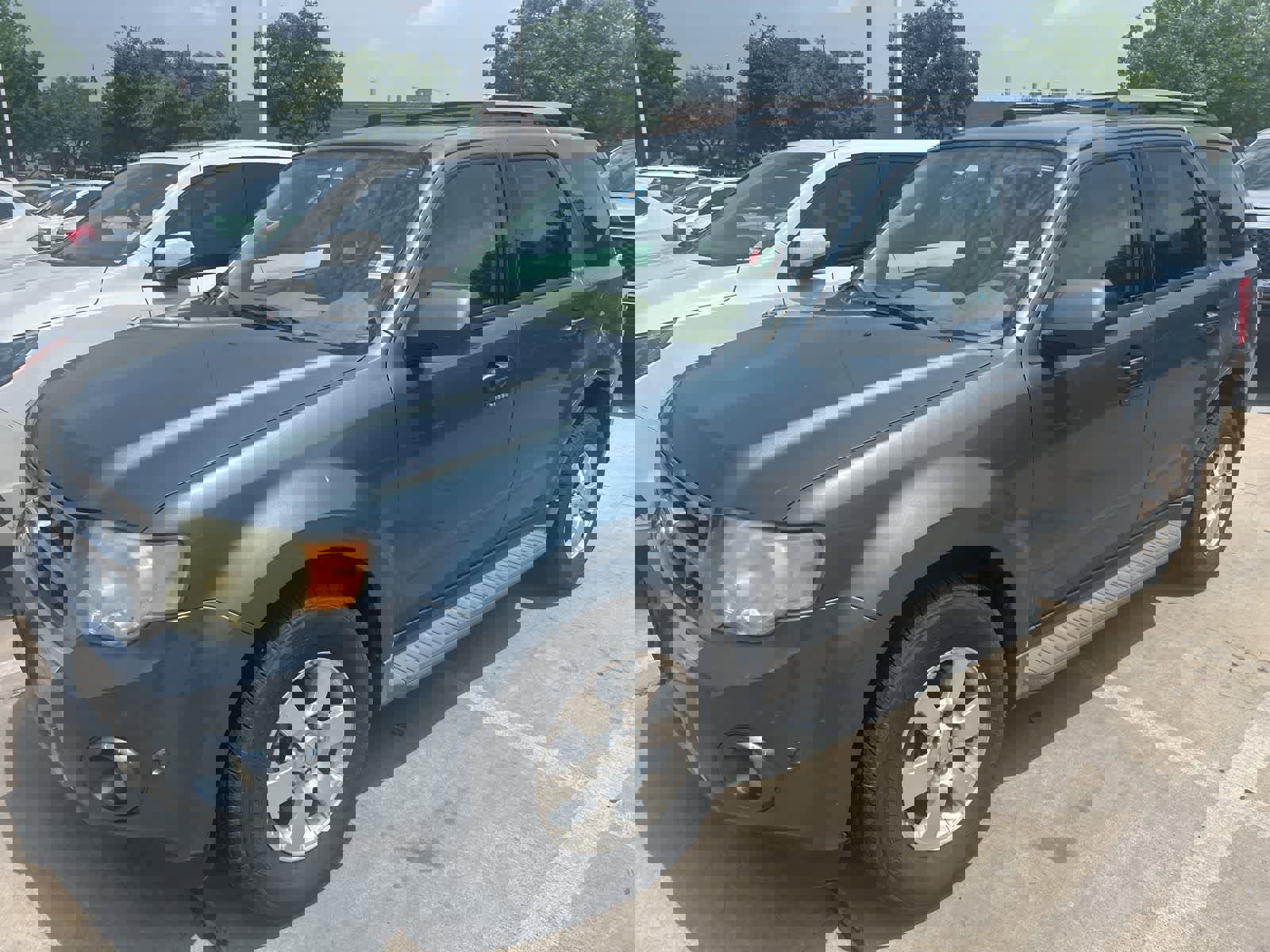 Used 2011 Ford Escape Limited w/ 302A Rapid Spec Order Code FWD image 1