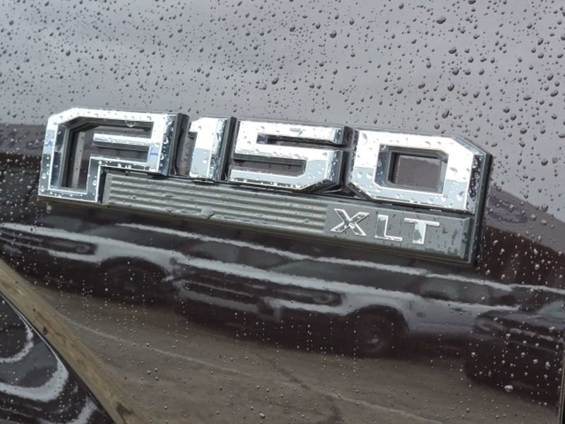 Used 2019 Ford F150 XLT w/ Equipment Group 302A Luxury AWD/4WD image 7
