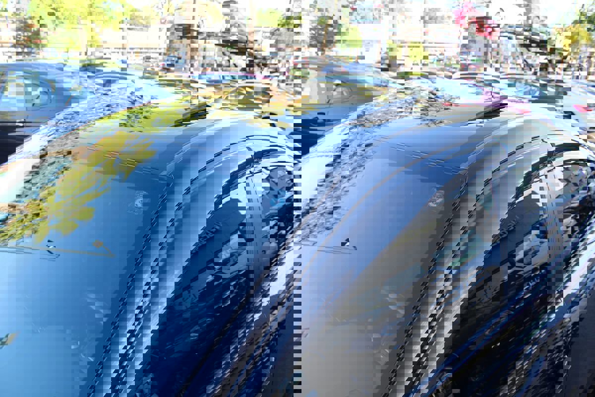 Used 2019 Honda Civic Si image 12