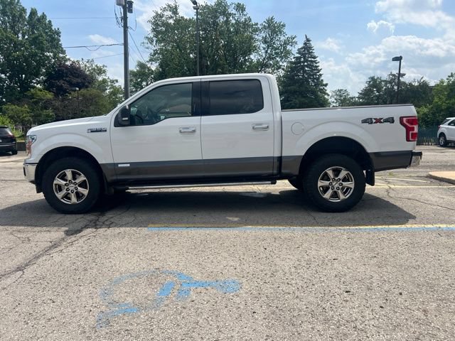 Used 2019 Ford F150 XLT w/ Equipment Group 302A Luxury AWD/4WD image 5