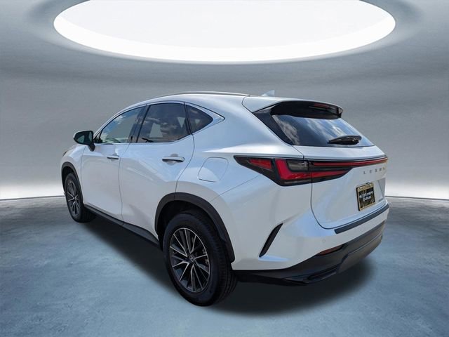 Used 2025 Lexus NX 250 FWD w/ Cold Area Package image 6
