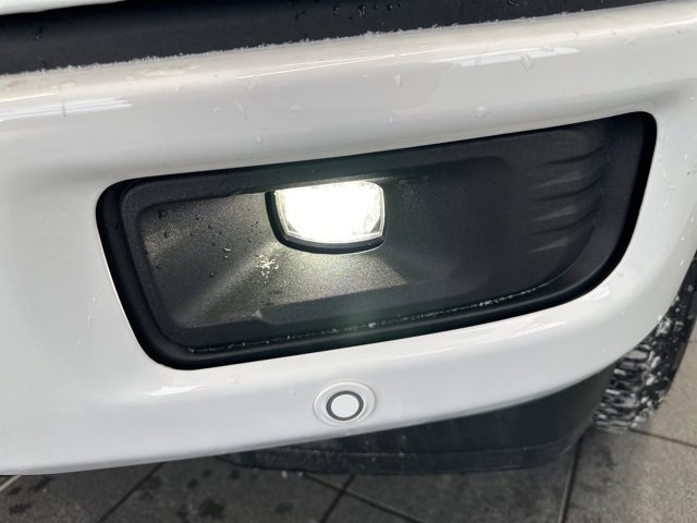 New 2025 Ford F150 XLT w/ Equipment Group 302A MID image 4