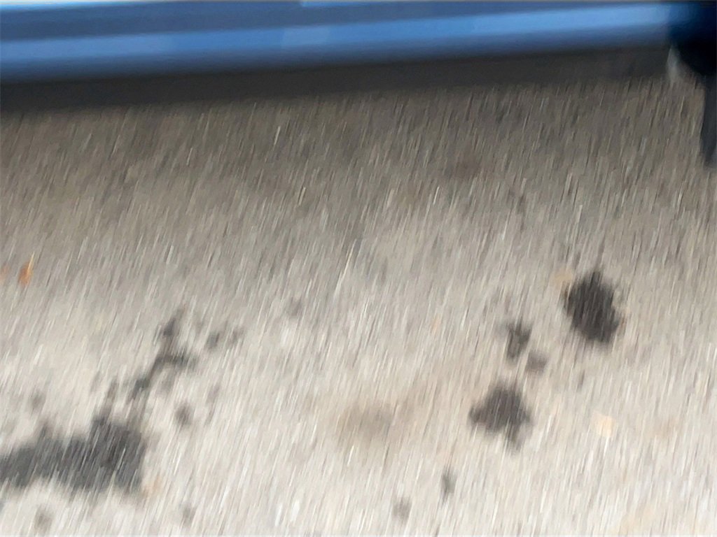 Used 2024 Subaru Forester Premium image 18