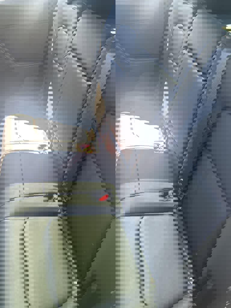 Used 2024 Tesla Model Y Long Range image 5