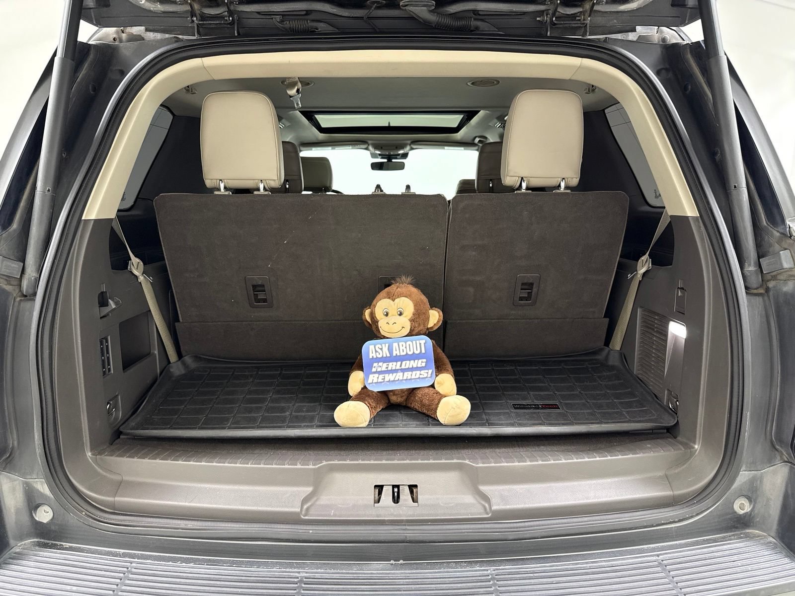 Used 2019 Ford Expedition Limited w/ Equipment Group 302A RWD image 8