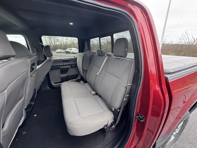 Used 2019 Ford F150 XLT w/ Equipment Group 302A Luxury image 12
