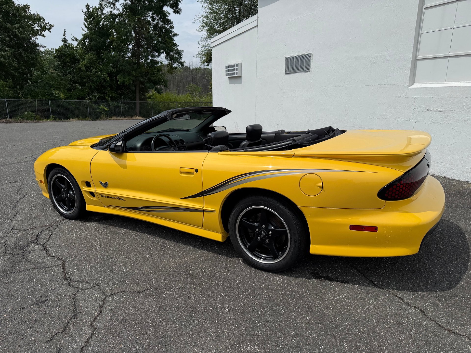 Used 2002 Pontiac Firebird Trans Am RWD image 12
