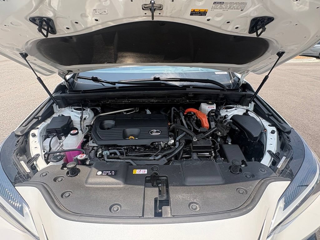 Used 2023 Lexus NX 350h AWD image 16