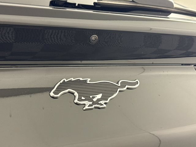 New 2026 Ford Mustang Mach-E Premium AWD/4WD image 17