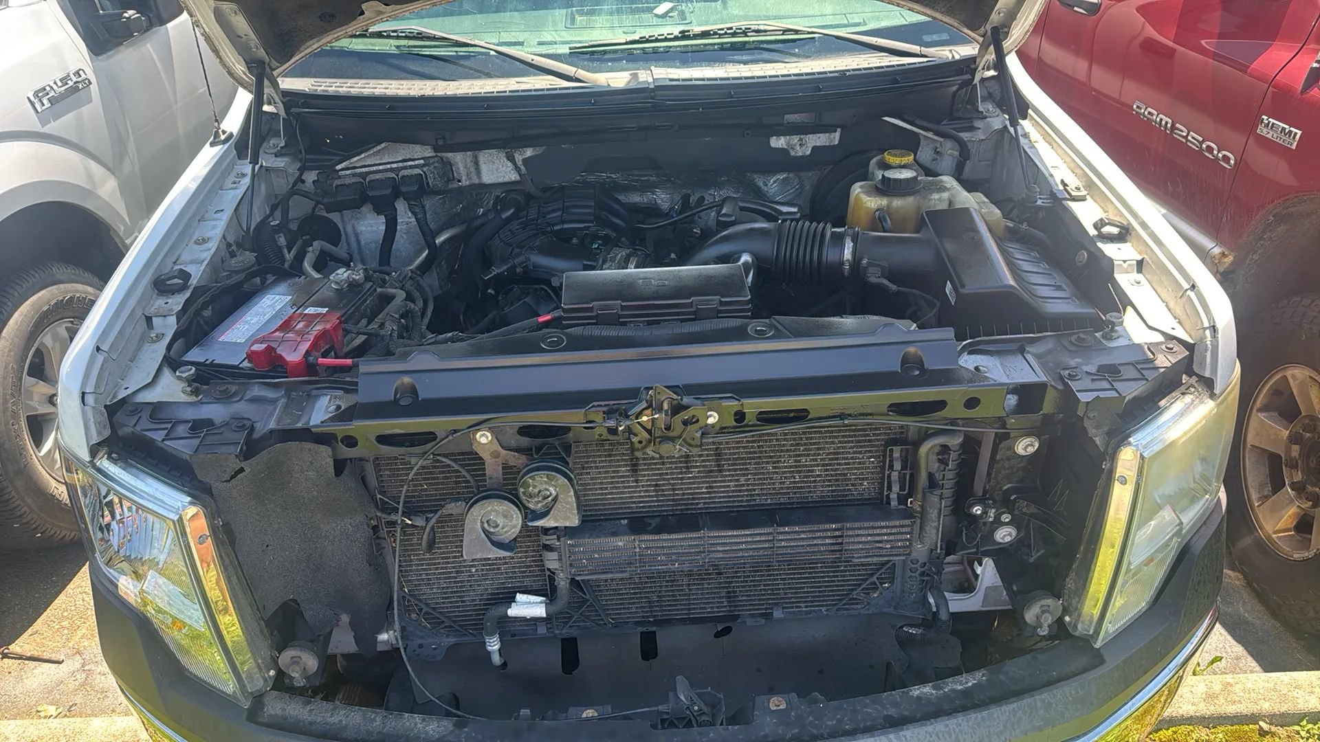 Used 2014 Ford F150 XL w/ Equipment Group 101A Mid RWD image 15